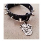 پلاک قلده سگ طرح پاگ – PUG