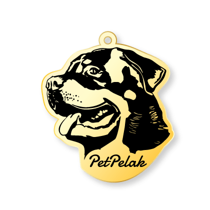 پلاک قلاده سگ طرح روتوایلر Rottweiler